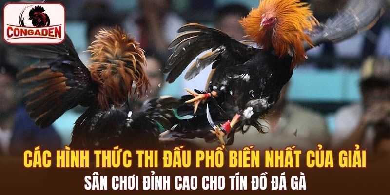 Các hình thức thi đấu phổ biến nhất của giải