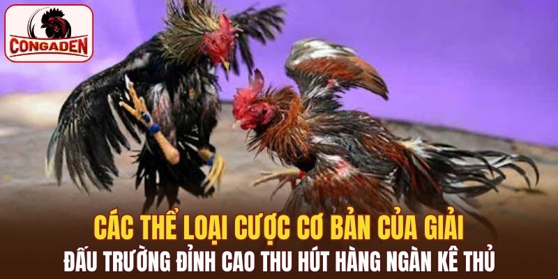 Cách tham gia giải gà CPC2 cần hiểu rõ