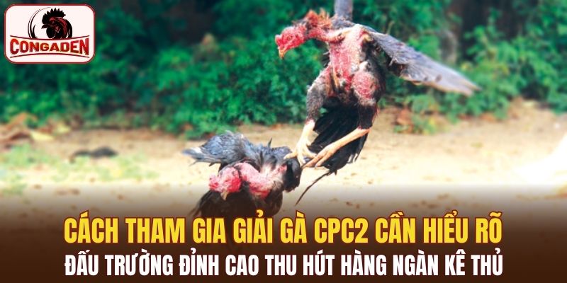 Các thể loại cược cơ bản của giải