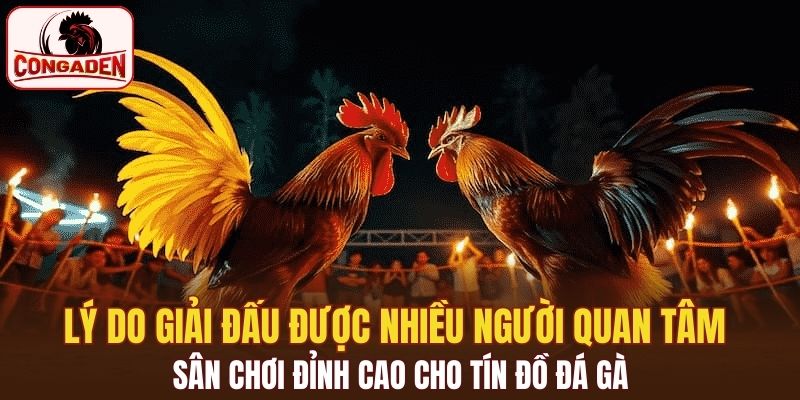 Lý do giải đấu được nhiều người quan tâm 
