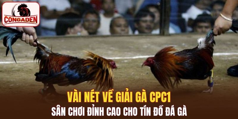 Vài nét về giải gà CPC1
