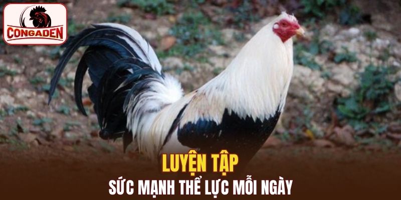 Biết cách luyện về thể lực