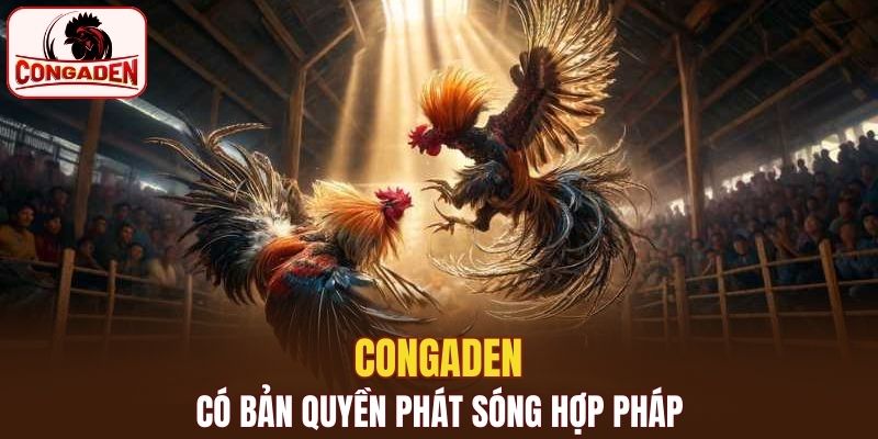 Congaden có bản quyền phát sóng hợp pháp, an toàn