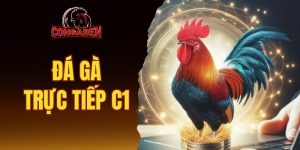 đá gà trực tiếp C1