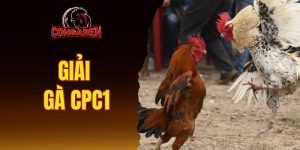 giải gà CPC1