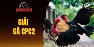 Giải gà CPC2