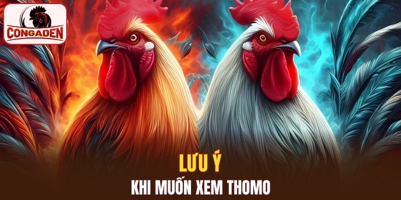 Lưu ý khi muốn xem Thomo