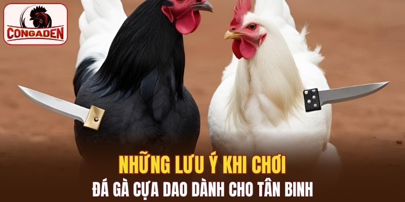 Lưu ý quan trọng mách bạn để có cơ hội thắng lớn