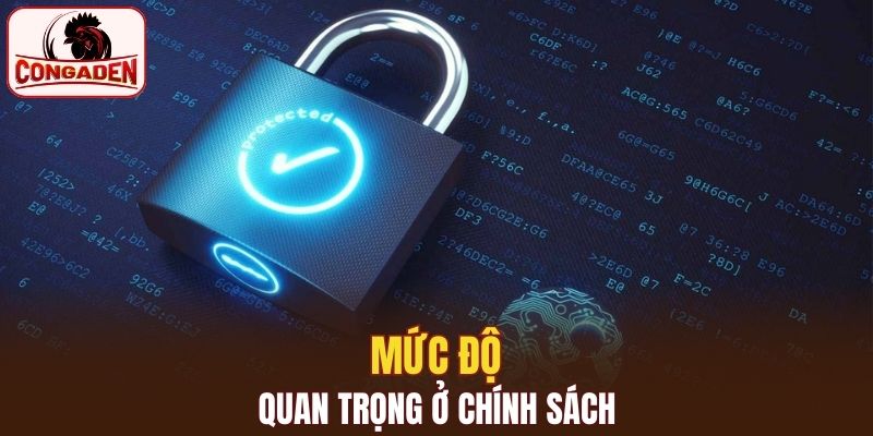 Mức độ quan trọng ở chính sách