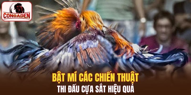 Nắm thông tin về điểm mạnh và điểm yếu của đối thủ