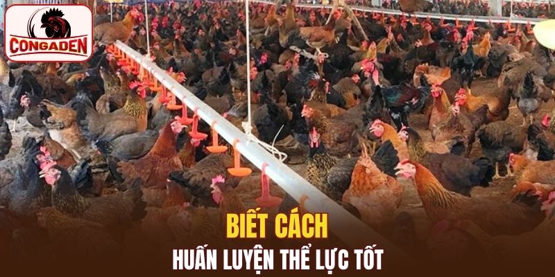 Phương pháp đào tạo phù hợp