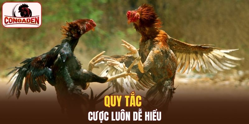 Quy tắc cược luôn dễ hiểu