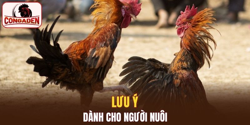 Sự đam mê từ các thành viên