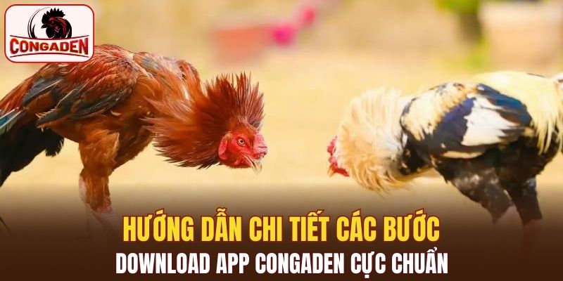 Tải app Congaden hấp dẫn ở mọi hệ thống