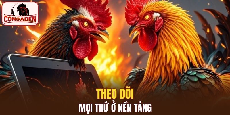 Theo dõi mọi thứ ở nền tảng