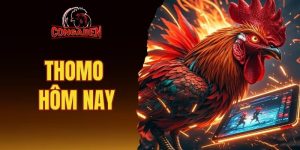 Thomo hôm nay