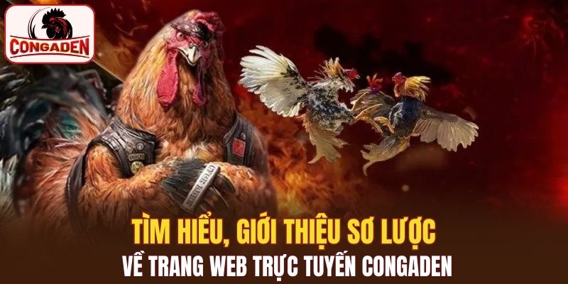 Tìm hiểu, giới thiệu sơ lược về trang web trực tuyến Congaden