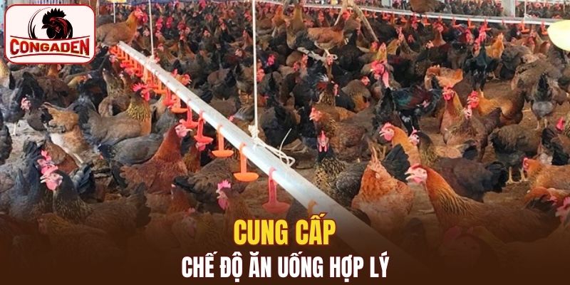 Tìm hiểu về dinh dưỡng 