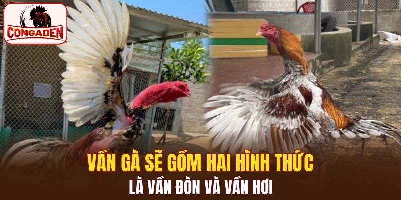 Vần gà sẽ gồm hai hình thức là vần đòn và vần hơi