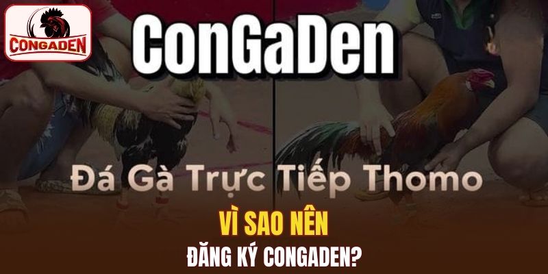 Website dành riêng cho người hiểu gà